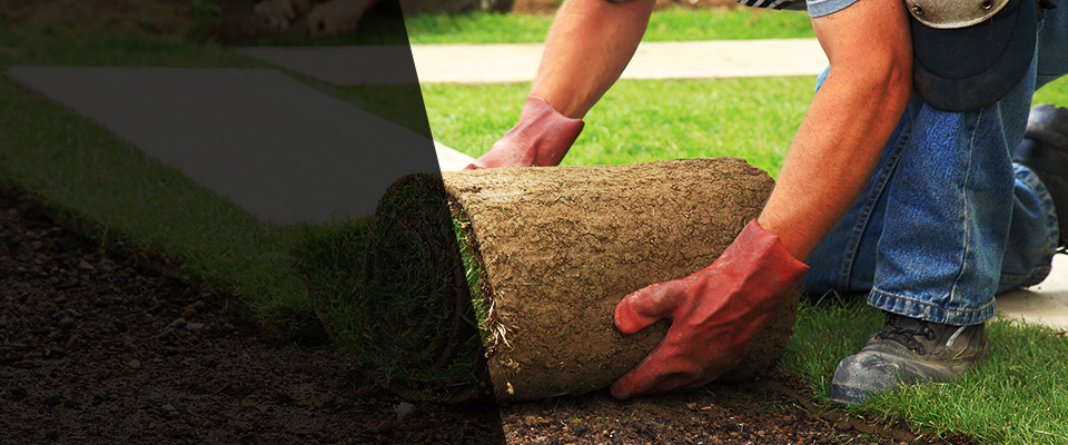 Carlinville Landscapers